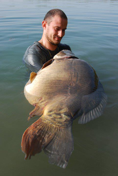 crapi mari - 537826290500747745529308197992n.jpg